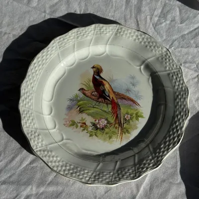 Formal plates - Set of 5 antique plates with pheasant pattern Hamage & Moulin des Lou - OFFICE OBJETS
