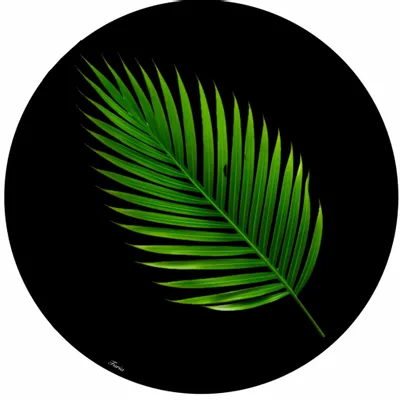 Dessous de plat - Dessous de bouteille - foglie sottobottiglia - #05 - FURIA LIVING