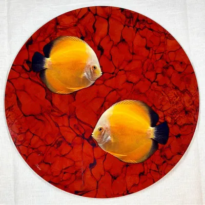 Placemats - placemats - pesci sottopiatto rotondo - #03 - FURIA LIVING