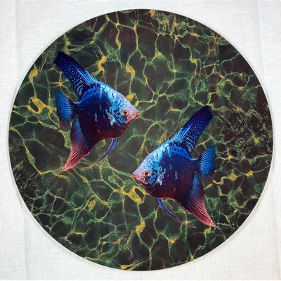 Placemats - placemats - pesci sottopiatto rotondo - #05 - FURIA LIVING