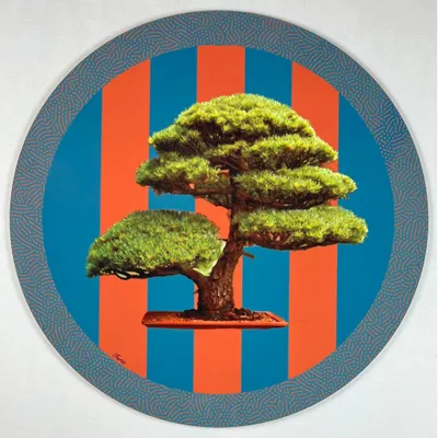 Placemats - placemats - Bonsai Sottobicchieri - #01 - FURIA LIVING