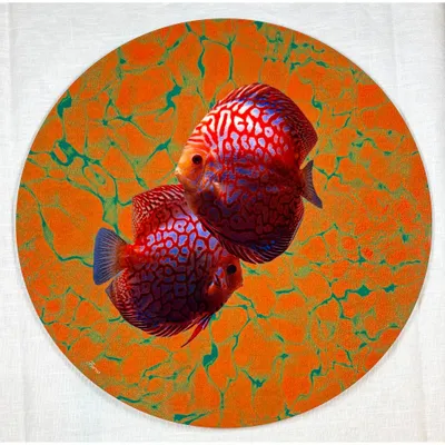 Sets de table - Sets de table - pesci sottopiatto rotondo - #01 - FURIA LIVING