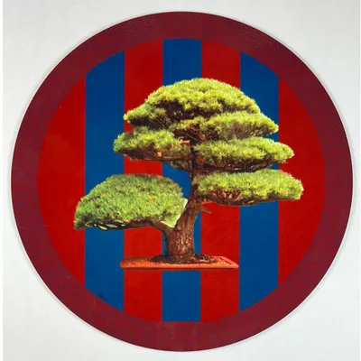 Dessous de plat - Dessous de bouteille - Bonsai Sottobottiglia - #02 - FURIA LIVING