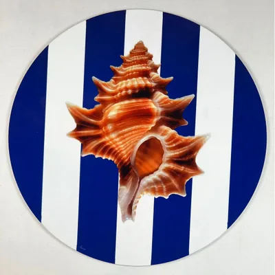 Dessous de plat - Dessous de bouteille - Conchiglia Sottobottiglia - #03 - FURIA LIVING