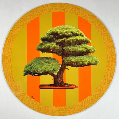 Placemats - placemats - Bonsai Sottopiatto Rotondo - #04 - FURIA LIVING