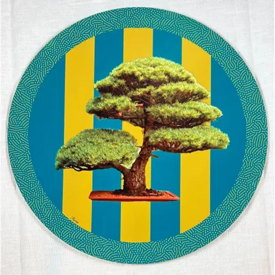 Placemats - placemats - Bonsai Sottopiatto Rotondo - #06 - FURIA LIVING