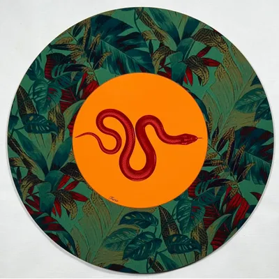 Placemats - placemats - Serpente Sottopiatto Rotondo - #01 - FURIA LIVING