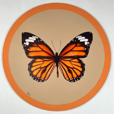 Dessous de plat - Dessous de verre - Farfalla 2.0 Sottobicchiere Rotondo - #02 - FURIA LIVING