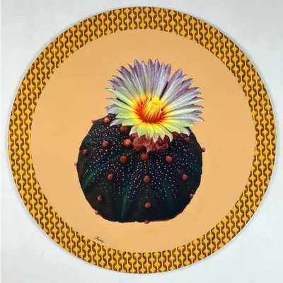 Dessous de plat - Dessous de verre - Cactus Sottobicchiere Rotondo - #01 - FURIA LIVING