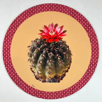 Dessous de plat - Dessous de verre - Cactus Sottobicchiere Rotondo - #02 - FURIA LIVING