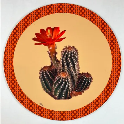 Dessous de plat - Dessous de verre - Cactus Sottobicchiere Rotondo - #04 - FURIA LIVING