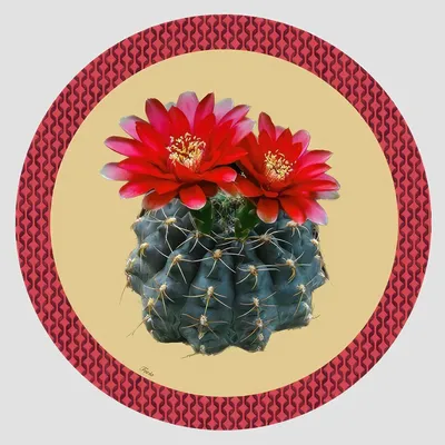 Dessous de plat - Dessous de bouteille - Cactus Sottobottiglia Rotondo - #06 - FURIA LIVING