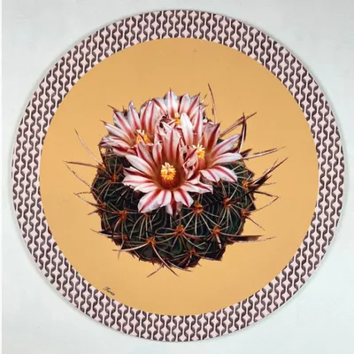 Sets de table - Sets de table - Cactus Sottopiatto Rotondo - #03 - FURIA LIVING