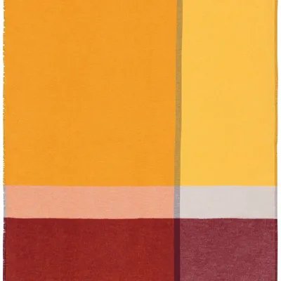 Throw blankets - Throw Great Sunset - BIEDERLACK