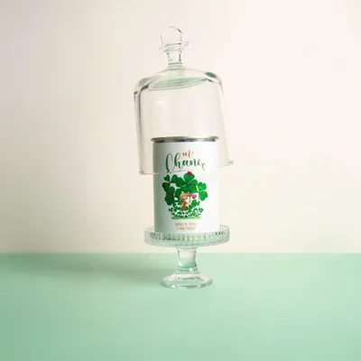 Gifts - Sowing kit\" Mr Chance\ " - MAUVAISES GRAINES