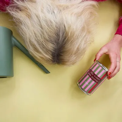 Gifts - Sowing kit “Don't let me die” made in France - MAUVAISES GRAINES