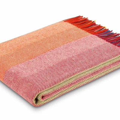 Throw blankets - Throw Colour Lines - BIEDERLACK