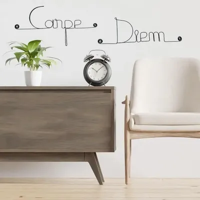 Autres décorations murales - Décoration Murale en Fil de Fer "Carpe Diem" - à punaiser - BIJOUX DE MUR