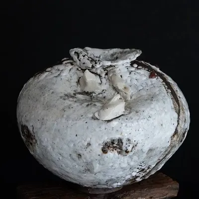 Vases - Vases from Wild Ceramics collection - GALERIE SANA MOREAU
