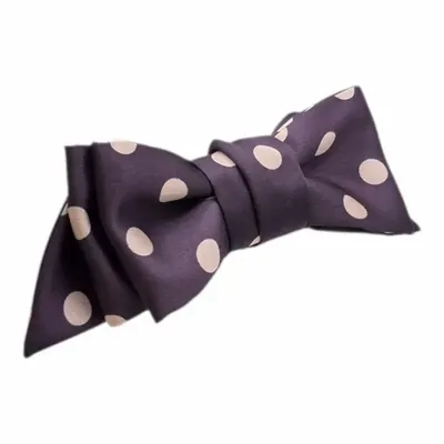 Barrettes - Barette Lara pois - MAISON FITZGERALD