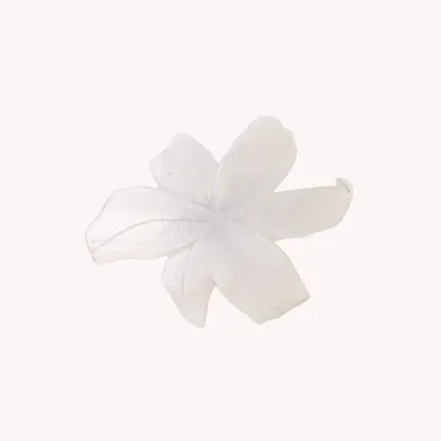 Bijoux - Broche fleur nacre blanche 5 pétales - Lis Blanc - NATURE BIJOUX