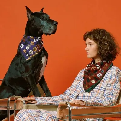 Scarves - My Dog Is The Best Cotton Scarf Purple - UN POCO