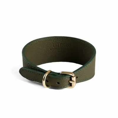 Pet accessories - Poco a Poco Dog Collar - UN POCO