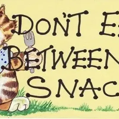 Panneaux séparateurs - Ne mangez pas entre les collations. - SOMETHING DIFFERENT WHOLESALE