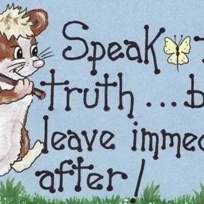 Panneaux séparateurs - Dis la vérité, mais pars... - SOMETHING DIFFERENT WHOLESALE