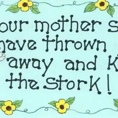 Panneaux séparateurs - Ta mère aurait dû - SOMETHING DIFFERENT WHOLESALE