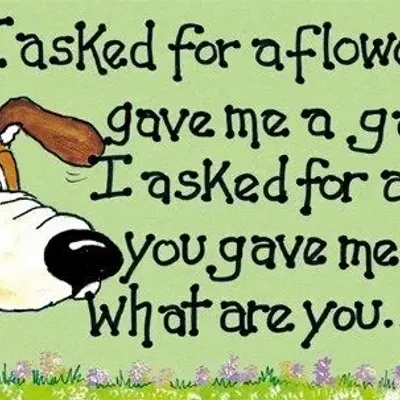 Panels - I Asked For A Flower - SOMETHING DIFFERENT WHOLESALE