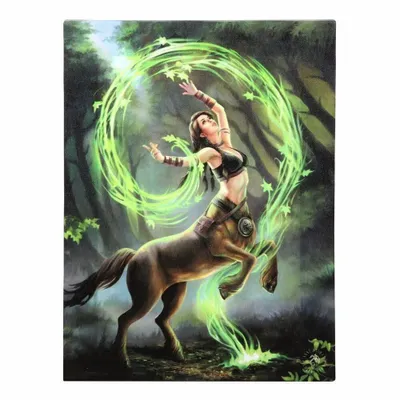 Decorative objects - 19x25cm Earth Element Sorceress Canvas Plaque by Anne Stokes - SOMETHING DIFFERENT WHOLESALE