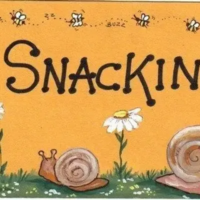 Panels - No Snacking - SOMETHING DIFFERENT WHOLESALE