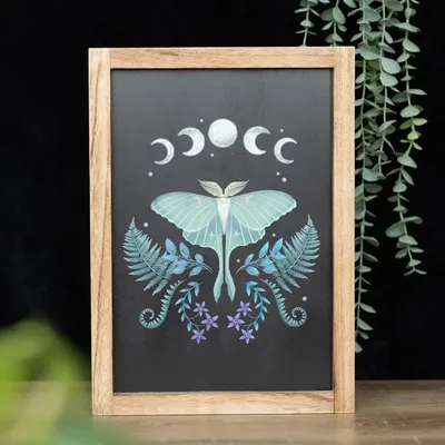 Panels - Luna Moth Wooden Framed Wall Art - SOMETHING DIFFERENT WHOLESALE