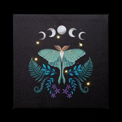Objets de décoration - Plaque lumineuse en toile Luna Moth - SOMETHING DIFFERENT WHOLESALE