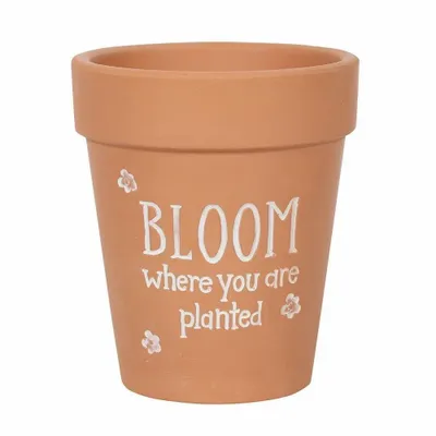 Flower pots - Bloom Where You Are Planted Terracotta Plant Pot - SOMETHING DIFFERENT WHOLESALE