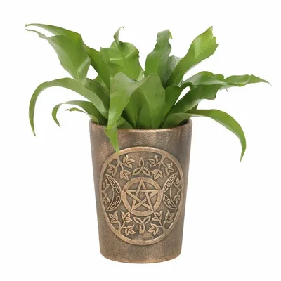 Flower pots - Triple Moon Bronze Terracotta Plant Pot by Lisa Parker - SOMETHING DIFFERENT WHOLESALE