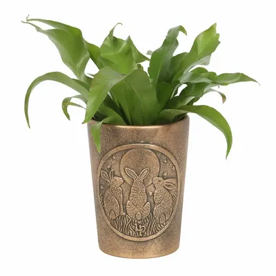 Flower pots - Moon Shadows Bronze Terracotta Plant Pot by Lisa Parker - SOMETHING DIFFERENT WHOLESALE