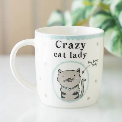 Mugs - Crazy Cat Lady Boxed Mug - SOMETHING DIFFERENT WHOLESALE