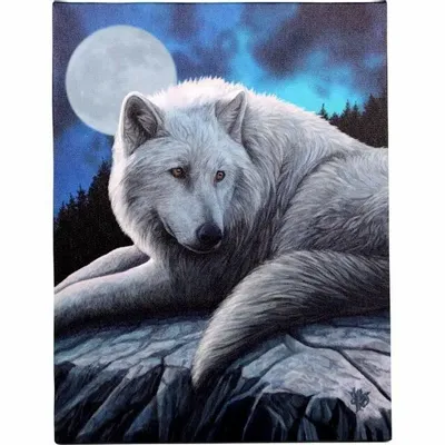 Decorative objects - 19x25cm Guardian Of The North Canvas Plaque by Lisa Parker - SOMETHING DIFFERENT WHOLESALE