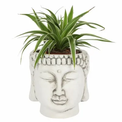 Flower pots - White Terracotta Buddha Head Planter - SOMETHING DIFFERENT WHOLESALE