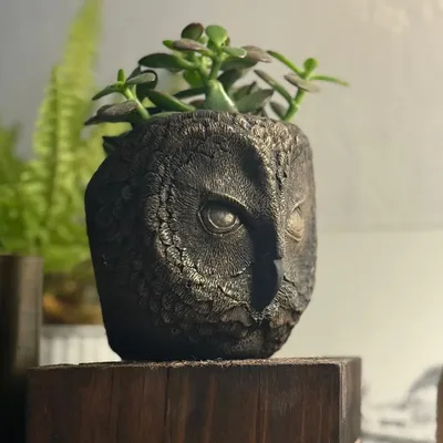 Plateaux - Hibou - décoration de table - DABA DECO