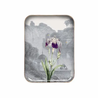 Decorative objects - Iris enamelled tray - PARADISIO IMAGINARIUM