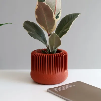 Floral decoration - INDOOR PLANTER - MARENA SUSTAINABLE DESIGN - MENDELEK STUDIO