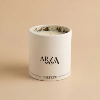 Candles - Arza Sylva Luxury Scented Candle 200g - SNEFERU