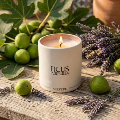 Candles - Ficus Purpurea Luxury Scented Candle 200g - SNEFERU