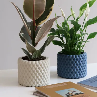 Floral decoration - INDOOR PLANTER - BURBU - MENDELEK STUDIO