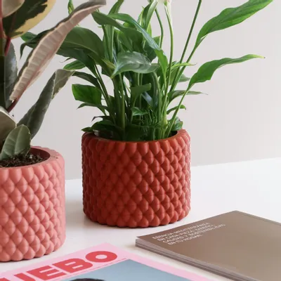 Floral decoration - INDOOR PLANTER - BURBU - MENDELEK STUDIO