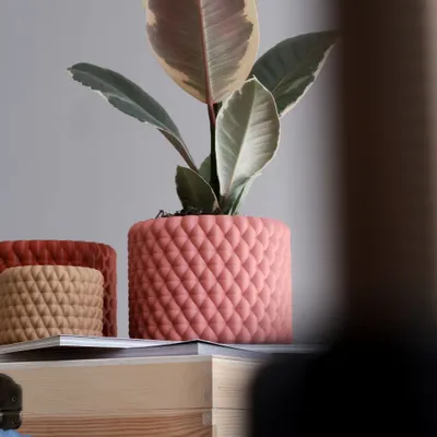 Floral decoration - INDOOR PLANTER - BURBU - MENDELEK STUDIO
