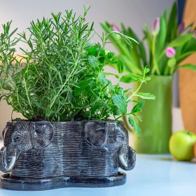 Vases - Tri Planter - QUAIL DESIGNS EUROPE BV